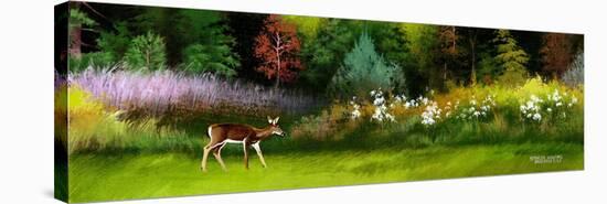 Doe in Spring Glade-Spencer Williams-Stretched Canvas