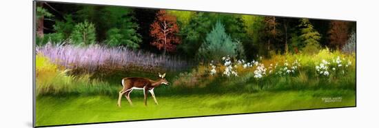 Doe in Spring Glade-Spencer Williams-Mounted Giclee Print