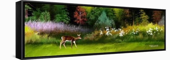 Doe in Spring Glade-Spencer Williams-Framed Stretched Canvas