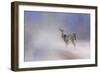 Doe in the Snow-Jai Johnson-Framed Giclee Print