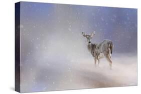 Doe in the Snow-Jai Johnson-Stretched Canvas