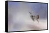 Doe in the Snow-Jai Johnson-Framed Stretched Canvas