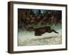 Doe Leaping, 19th Century-Gustave Courbet-Framed Giclee Print