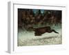 Doe Leaping, 19th Century-Gustave Courbet-Framed Giclee Print