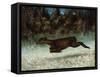Doe Leaping, 19th Century-Gustave Courbet-Framed Stretched Canvas