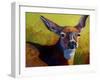 Doe Look-Marion Rose-Framed Giclee Print