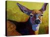 Doe Look-Marion Rose-Stretched Canvas