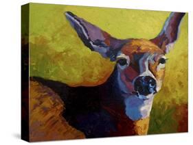 Doe Look-Marion Rose-Stretched Canvas