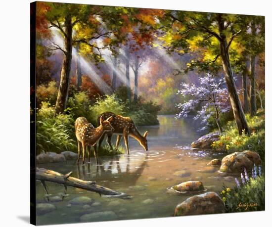 Doe Ray Me Creek-Sung Kim-Stretched Canvas