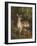 Doe with Her Fawn-Samuel John Carter-Framed Giclee Print