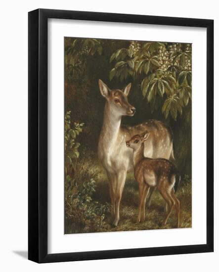 Doe with Her Fawn-Samuel John Carter-Framed Giclee Print