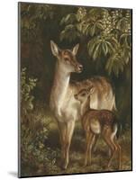 Doe with Her Fawn-Samuel John Carter-Mounted Giclee Print