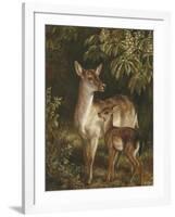 Doe with Her Fawn-Samuel John Carter-Framed Giclee Print