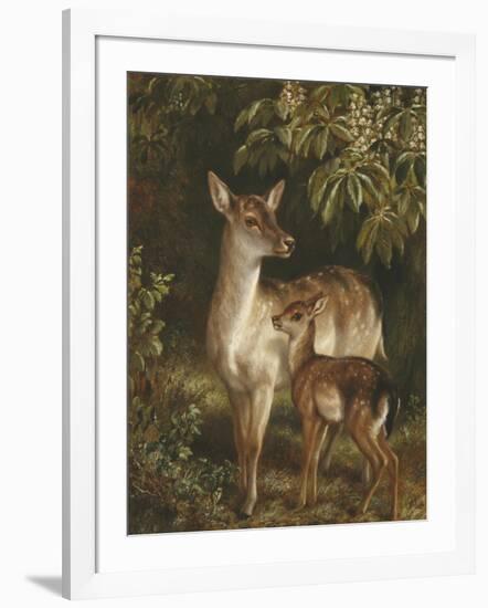 Doe with Her Fawn-Samuel John Carter-Framed Giclee Print