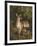 Doe with Her Fawn-Samuel John Carter-Framed Giclee Print