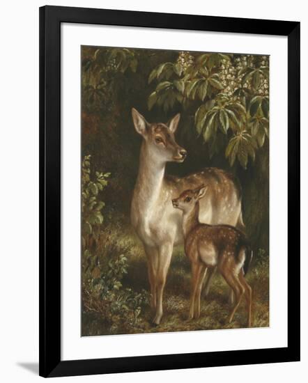 Doe with Her Fawn-Samuel John Carter-Framed Giclee Print