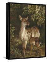 Doe with Her Fawn-Samuel John Carter-Framed Stretched Canvas