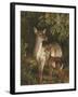 Doe with Her Fawn-Samuel John Carter-Framed Giclee Print