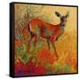 Doe-Marion Rose-Framed Stretched Canvas