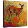 Doe-Marion Rose-Stretched Canvas