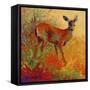 Doe-Marion Rose-Framed Stretched Canvas