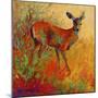 Doe-Marion Rose-Mounted Giclee Print