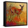 Doe-Marion Rose-Framed Stretched Canvas