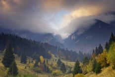 Spruce, Full Moon Seen Through Fog, Piatra Craiului Np, Southern Carpathian Mountains, Romania-Dörr-Photographic Print