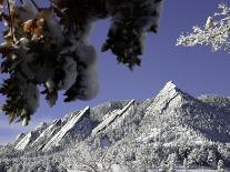 A Tree Covered with Snow, Boulder-Dörte Pietron-Framed Photographic Print