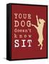 Doesn't Know Sit-Dog is Good-Framed Stretched Canvas