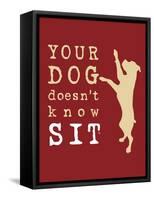 Doesn't Know Sit-Dog is Good-Framed Stretched Canvas