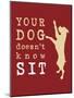 Doesn't Know Sit-Dog is Good-Mounted Art Print