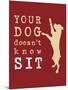 Doesn't Know Sit-Dog is Good-Mounted Art Print