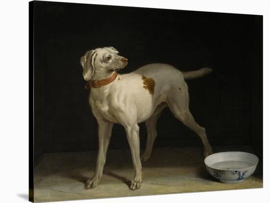 Dog, 1751-Jean-Baptiste Oudry-Stretched Canvas