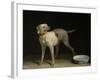 Dog, 1751-Jean-Baptiste Oudry-Framed Giclee Print