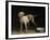 Dog, 1751-Jean-Baptiste Oudry-Framed Giclee Print