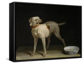 Dog, 1751-Jean-Baptiste Oudry-Framed Stretched Canvas
