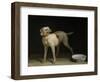 Dog, 1751-Jean-Baptiste Oudry-Framed Giclee Print