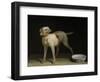 Dog, 1751-Jean-Baptiste Oudry-Framed Giclee Print