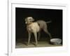 Dog, 1751-Jean-Baptiste Oudry-Framed Giclee Print