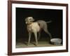 Dog, 1751-Jean-Baptiste Oudry-Framed Giclee Print