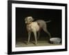 Dog, 1751-Jean-Baptiste Oudry-Framed Giclee Print