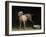 Dog, 1751-Jean-Baptiste Oudry-Framed Giclee Print