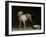 Dog, 1751-Jean-Baptiste Oudry-Framed Giclee Print