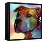 Dog 2-Mark Ashkenazi-Framed Stretched Canvas