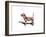 Dog 3-Mark Ashkenazi-Framed Giclee Print