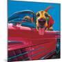 Dog About Town-Ron Burns-Mounted Art Print