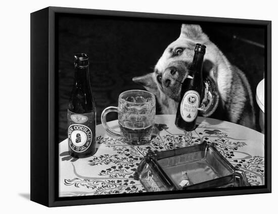 Dog Acts as a Waiter 1965-Staff-Framed Stretched Canvas