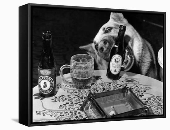 Dog Acts as a Waiter 1965-Staff-Framed Stretched Canvas