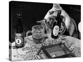 Dog Acts as a Waiter 1965-Staff-Stretched Canvas